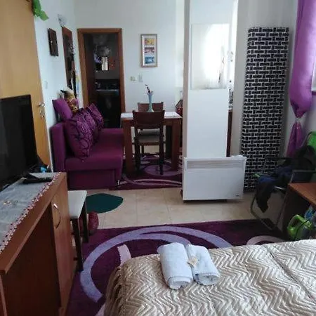 студио м в росица * Pamporovo