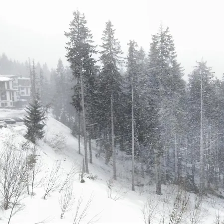 Appartement студио м в росица *