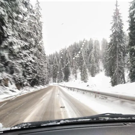 студио м в росица Appartement Pamporovo