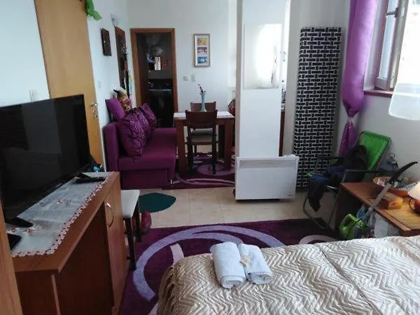 студио м в росица * Pamporovo