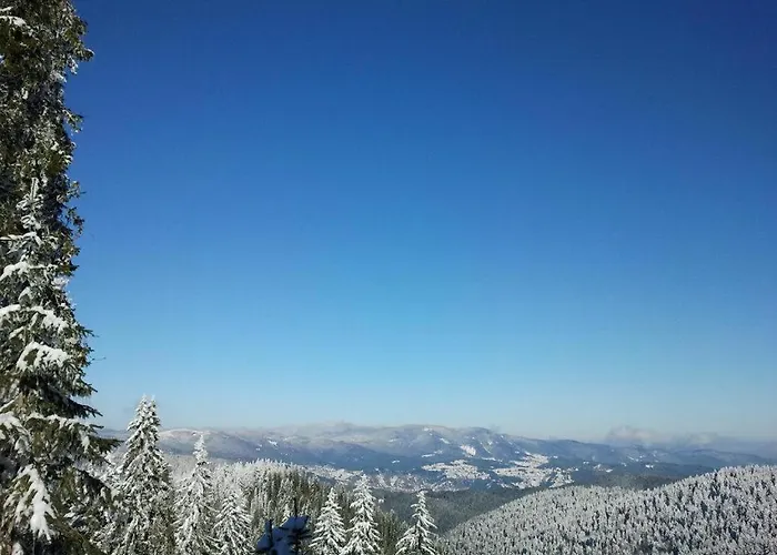 студио м в росица Apartamento Pamporovo